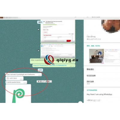 qiqiyg reviews - qiqiyg.com | Site officiel de vente en gros de vêtements et de Dropshipping QA11