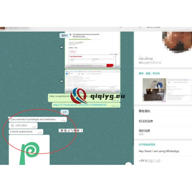 qiqiyg reviews - qiqiyg.com | Site officiel de vente en gros de vêtements et de Dropshipping QA11