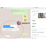 qiqiyg reviews - qiqiyg.com | Site officiel de vente en gros de vêtements et de Dropshipping QA12