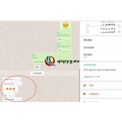 qiqiyg reviews - qiqiyg.com | Site officiel de vente en gros de vêtements et de Dropshipping QA18