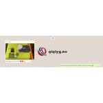 qiqiyg reviews - qiqiyg.com | Site officiel de vente en gros de vêtements et de Dropshipping QA63