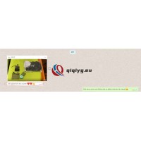 qiqiyg reviews - qiqiyg.com | Site officiel de vente en gros de vêtements et de Dropshipping QA63