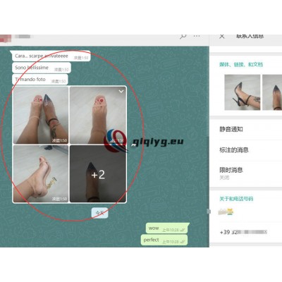qiqiyg reviews - qiqiyg.com | Site officiel de vente en gros de vêtements et de Dropshipping QA117